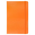 Ambassador Bound JournalBook