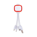 Family Light Up  3 in 1 Cable 