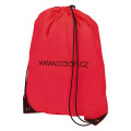 back sack non woven