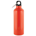Drink bottle Everest 500ml aluminium with carabiner