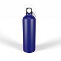 Gelato Aluminium Drink Bottle 