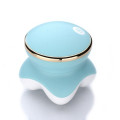 USB portable massager