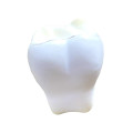 Tooth Shape Stress Reliever