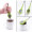 Silicone Tea Filter Infusers for Loose Leaf MOQ 30PCS