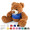 Coco Plush Teddy Bear