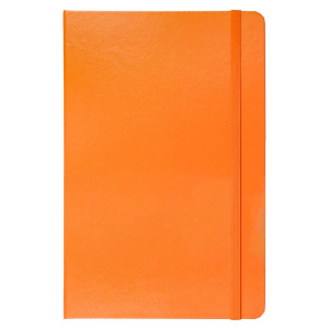 Ambassador Bound JournalBook