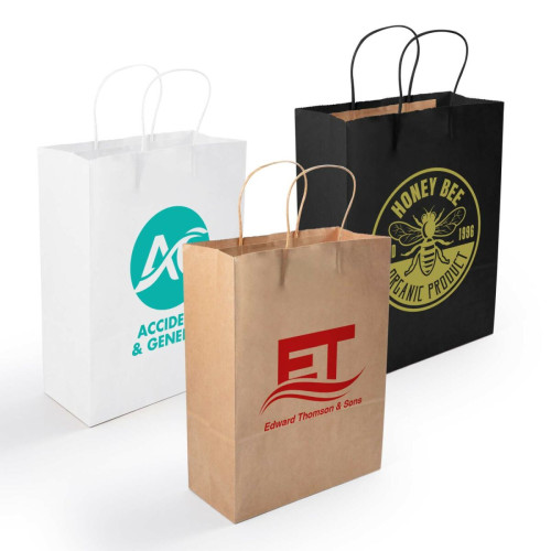 Express Paper Bag Medium 