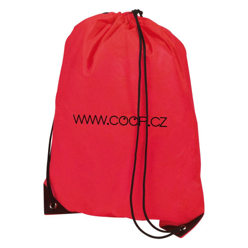 back sack non woven