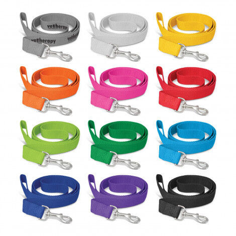 Leads & Collars