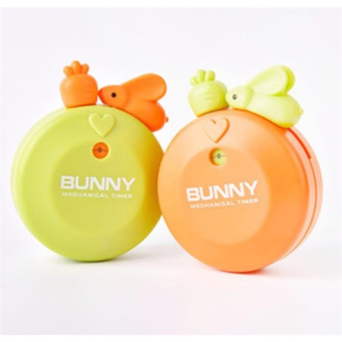 Magnet Mechanical Timer