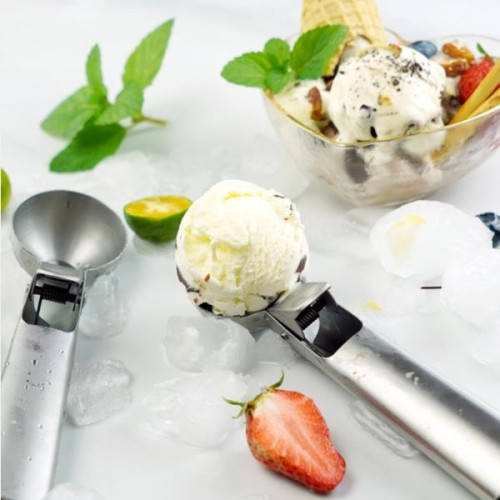 Stainless Steel Ice Cream Scoop